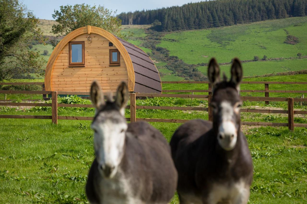 Luxury Two-Bed Glamping Pod In County Clare 2 Villa Kilbane Dış mekan fotoğraf