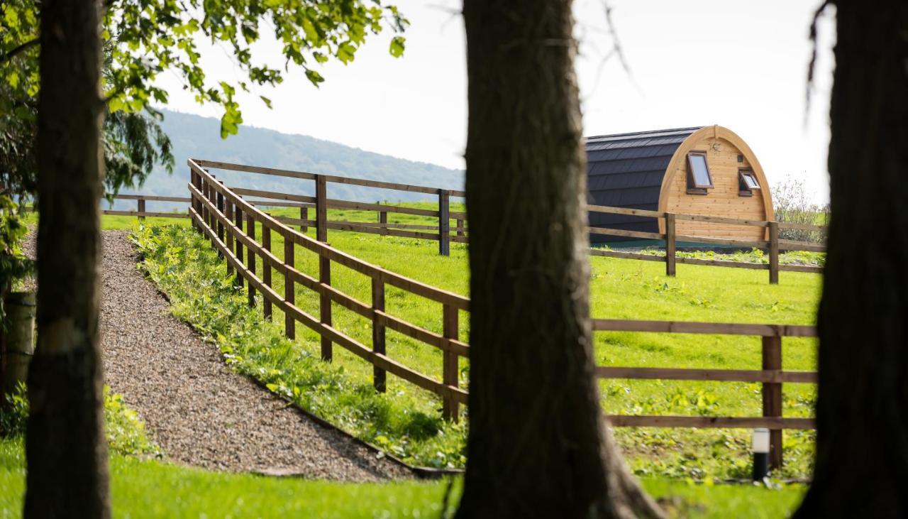 Luxury Two-Bed Glamping Pod In County Clare 2 Villa Kilbane Dış mekan fotoğraf