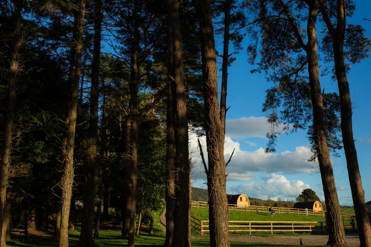 Luxury Two-Bed Glamping Pod In County Clare 2 Villa Kilbane Dış mekan fotoğraf